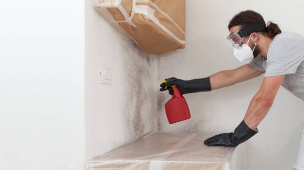 Professional Crawl Space Mold Remediation technician working in Narvon, PA